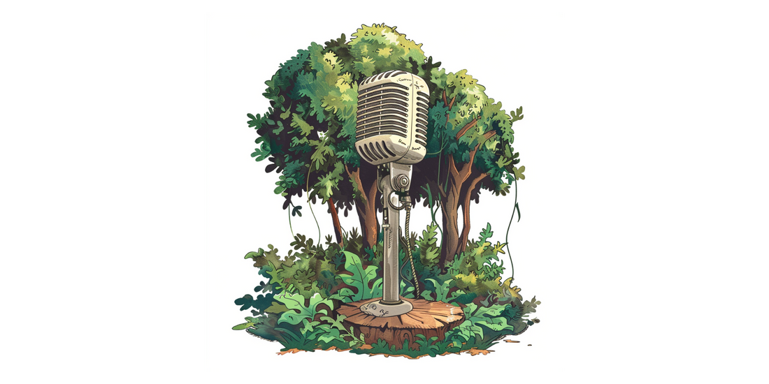 Niedźwiedź Bruno – Bal leśnych talentów