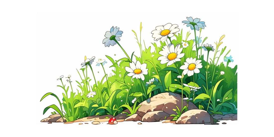 Niedźwiedź Bruno – Niespodziewany gość