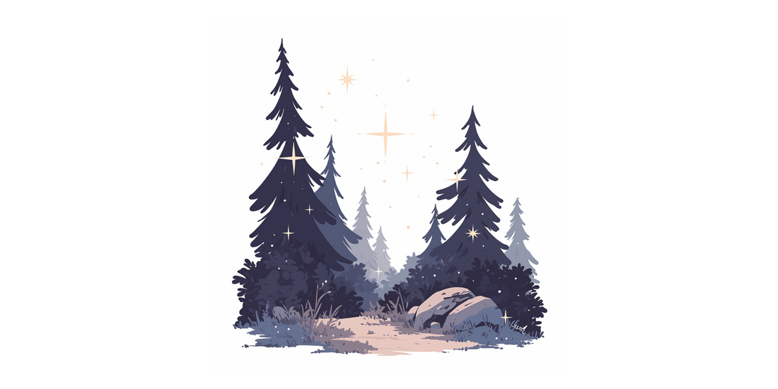 Niedźwiedź Bruno – Noc gwiazd