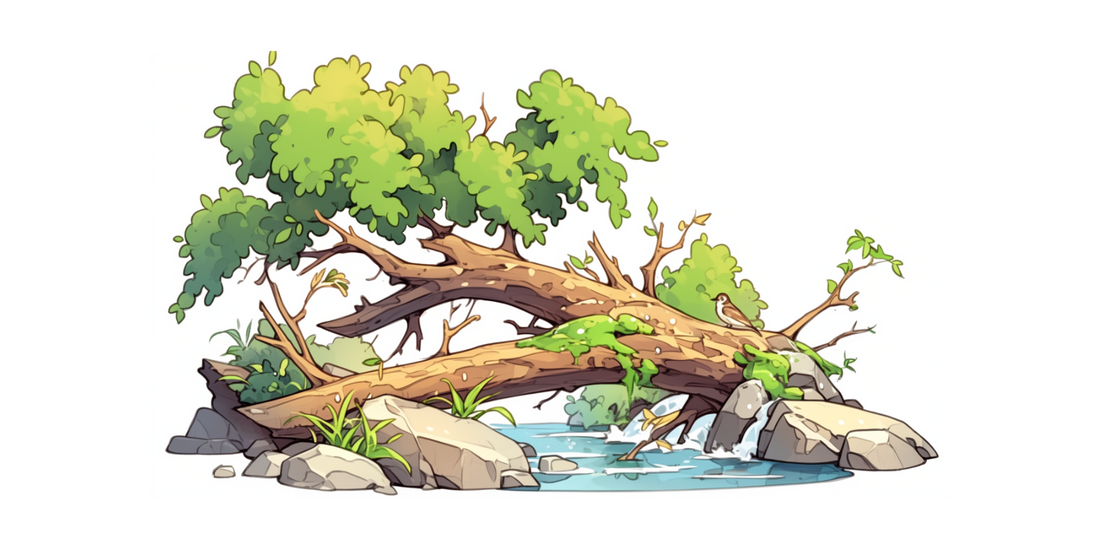 Niedźwiedź Bruno – Znikający strumień