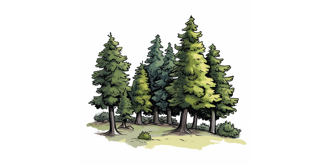 Niedźwiedź Bruno i Zaginione Dźwięki