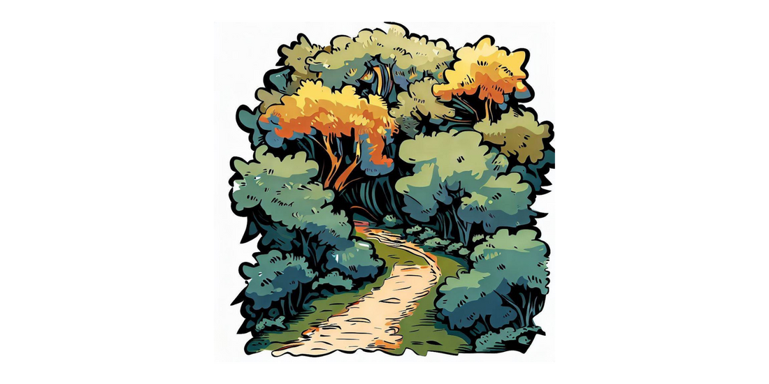 Niedźwiedź Bruno i leśny wyścig!