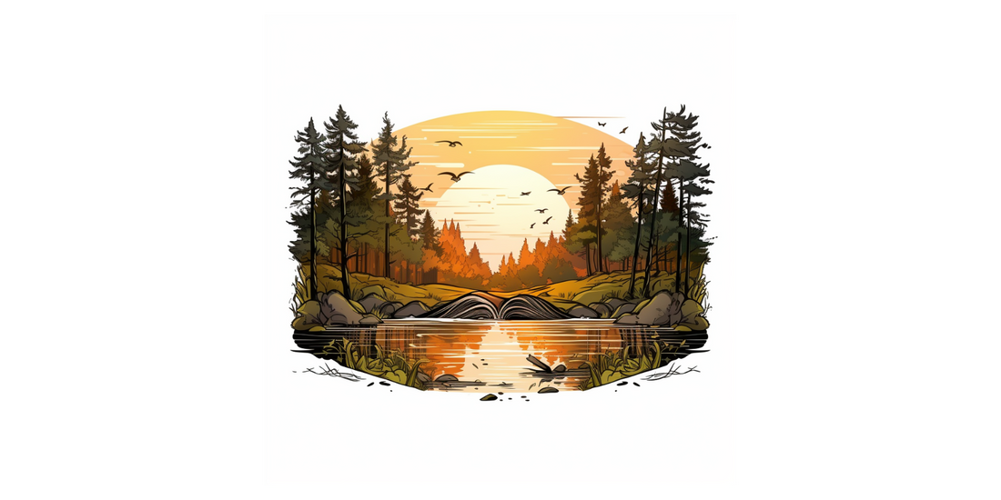 Niedźwiedź Bruno i wycieczka nad jezioro