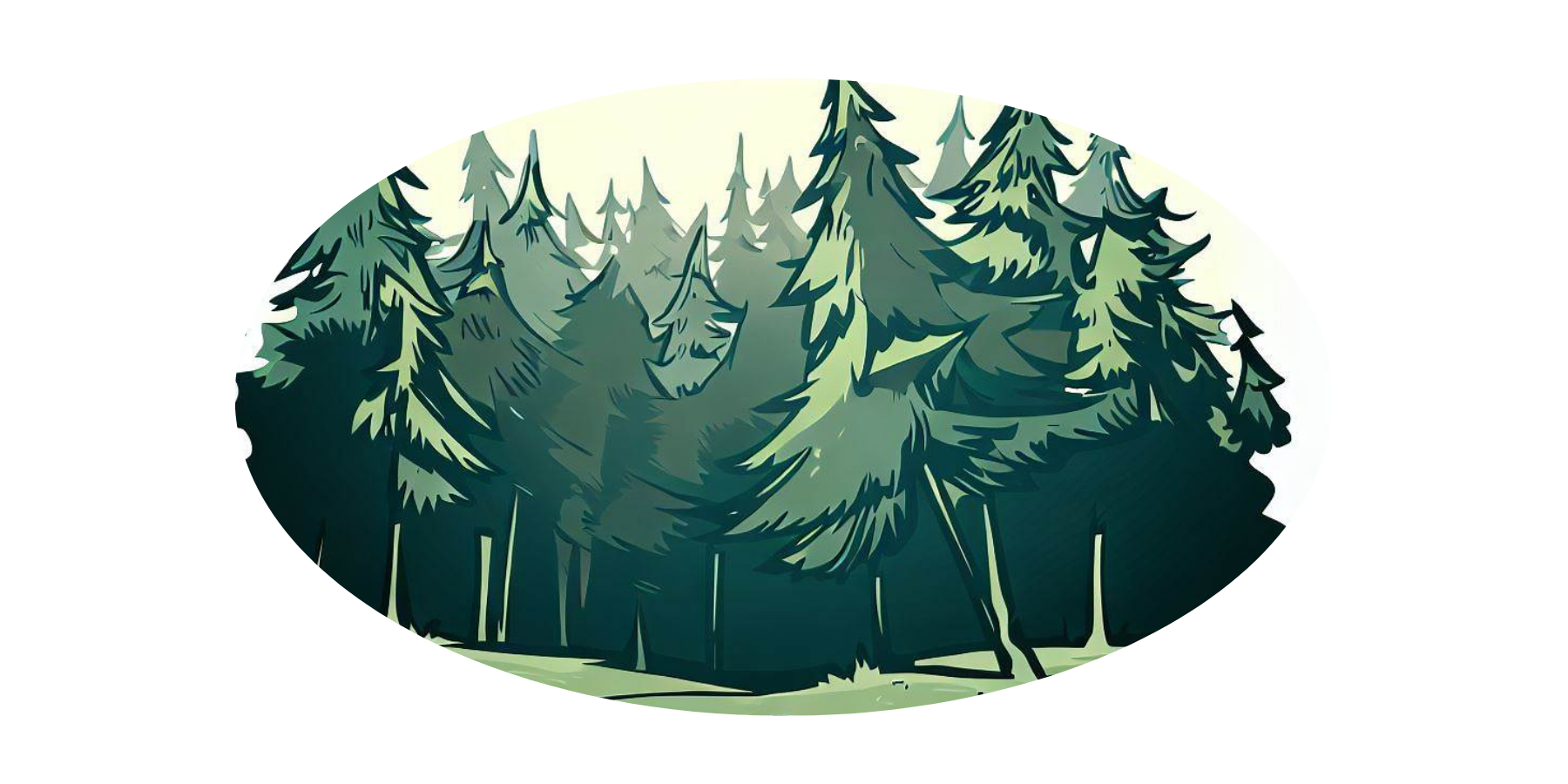 Niedźwiedź Bruno i zaginięcie Myszki Marty