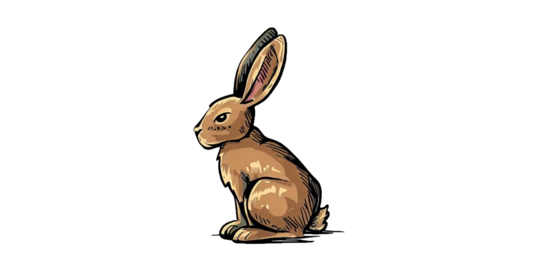 Odkrywczyni Zuza i zając