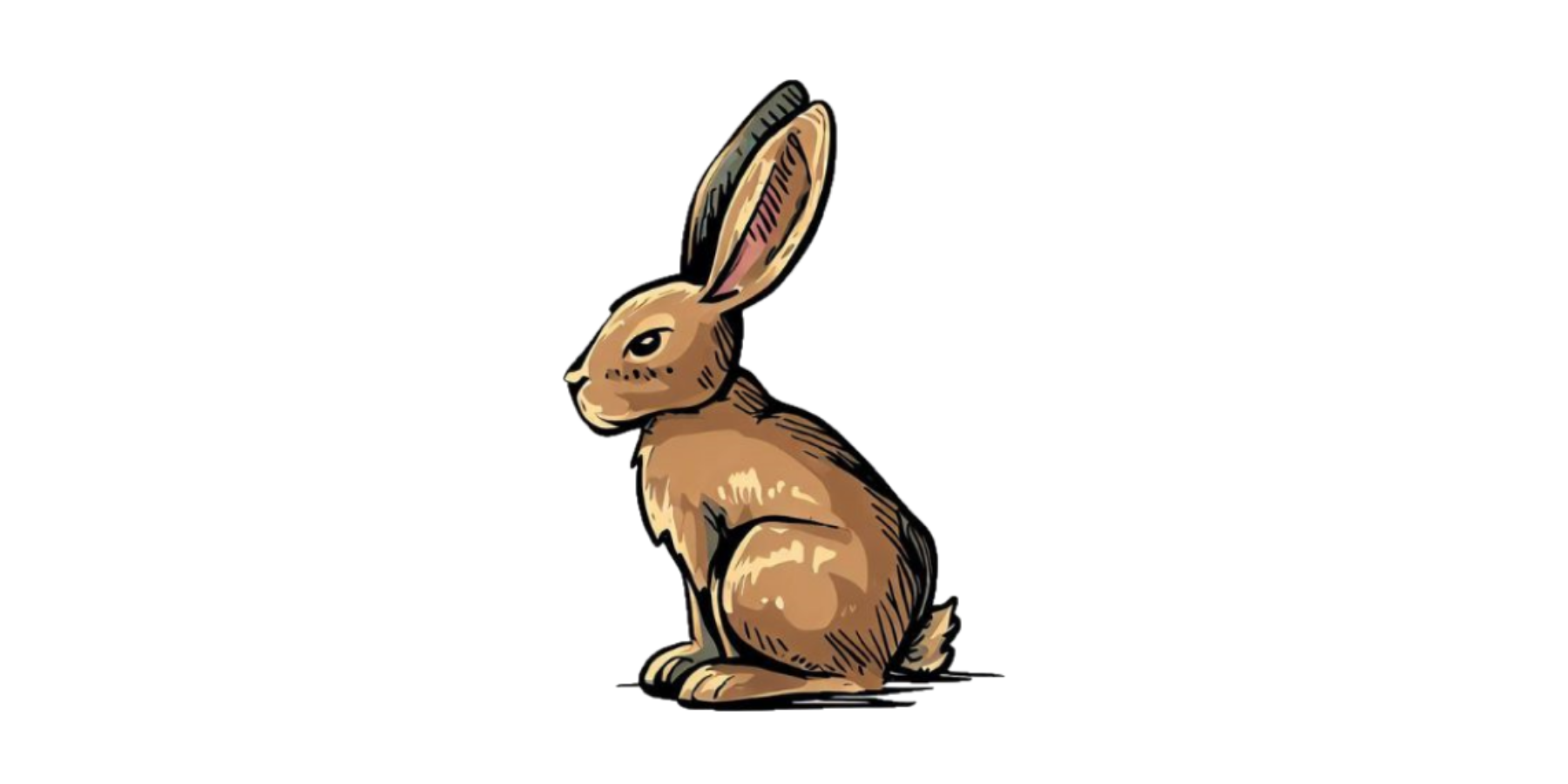 Odkrywczyni Zuza i zając